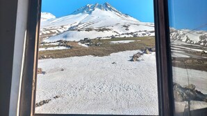 Vista por la ventana de una montaña nevada con cielo despejado.
