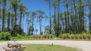 A picnic table in a park with tall trees and a clear sky. - RV Site On St Joseph's Bay, All Hookups ~ Bay Destiny 1 (Cape San Blas)