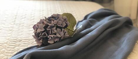 1 Schlafzimmer, Bügeleisen/Bügelbrett, WLAN