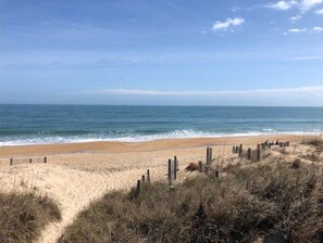 A beach with a wooden fence and dunes in the foreground.