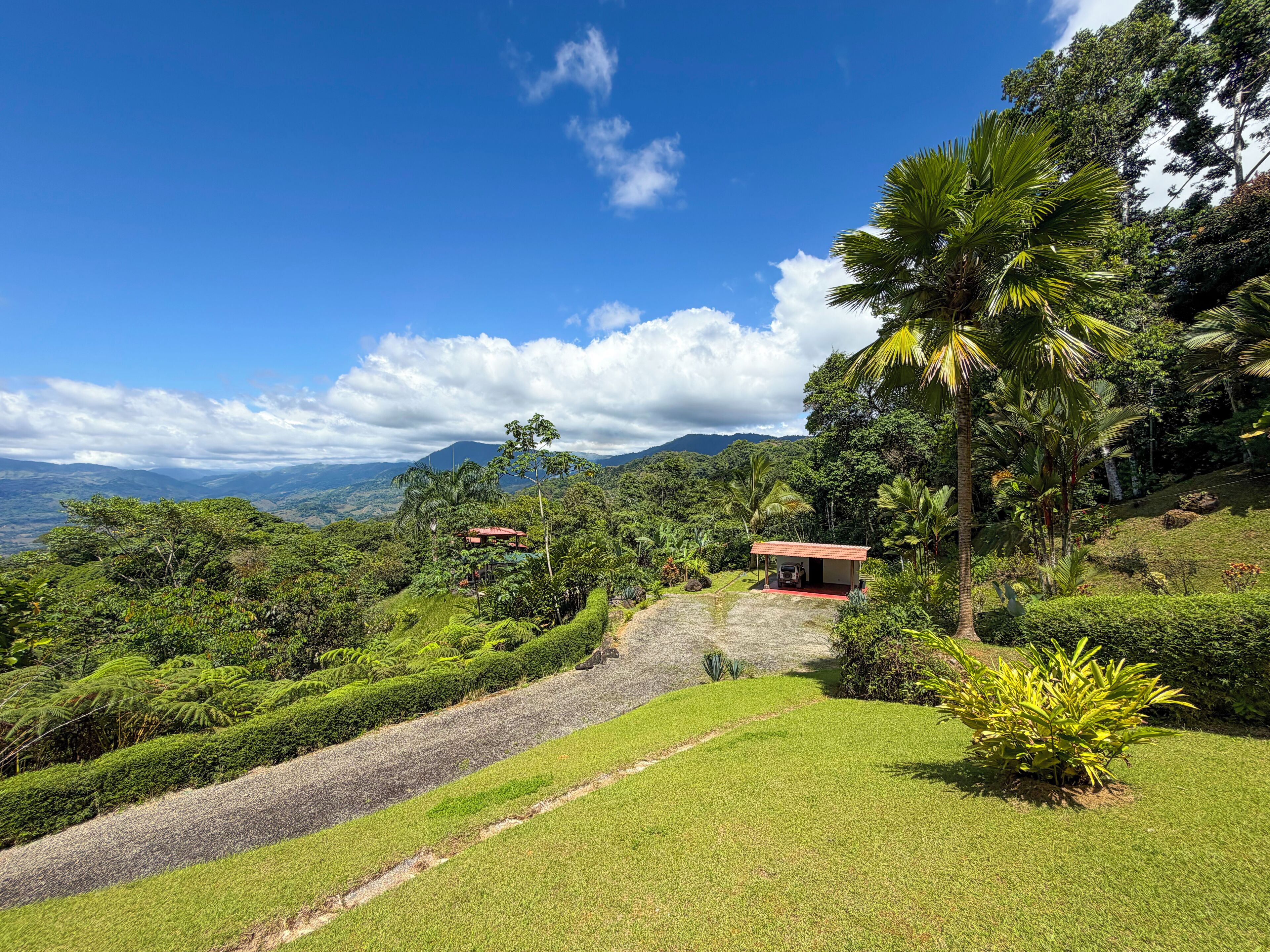 A lush, green landscape with a pathway leading to a small building with a red roof, surrounded by dense vegetation and a clear blue sky.