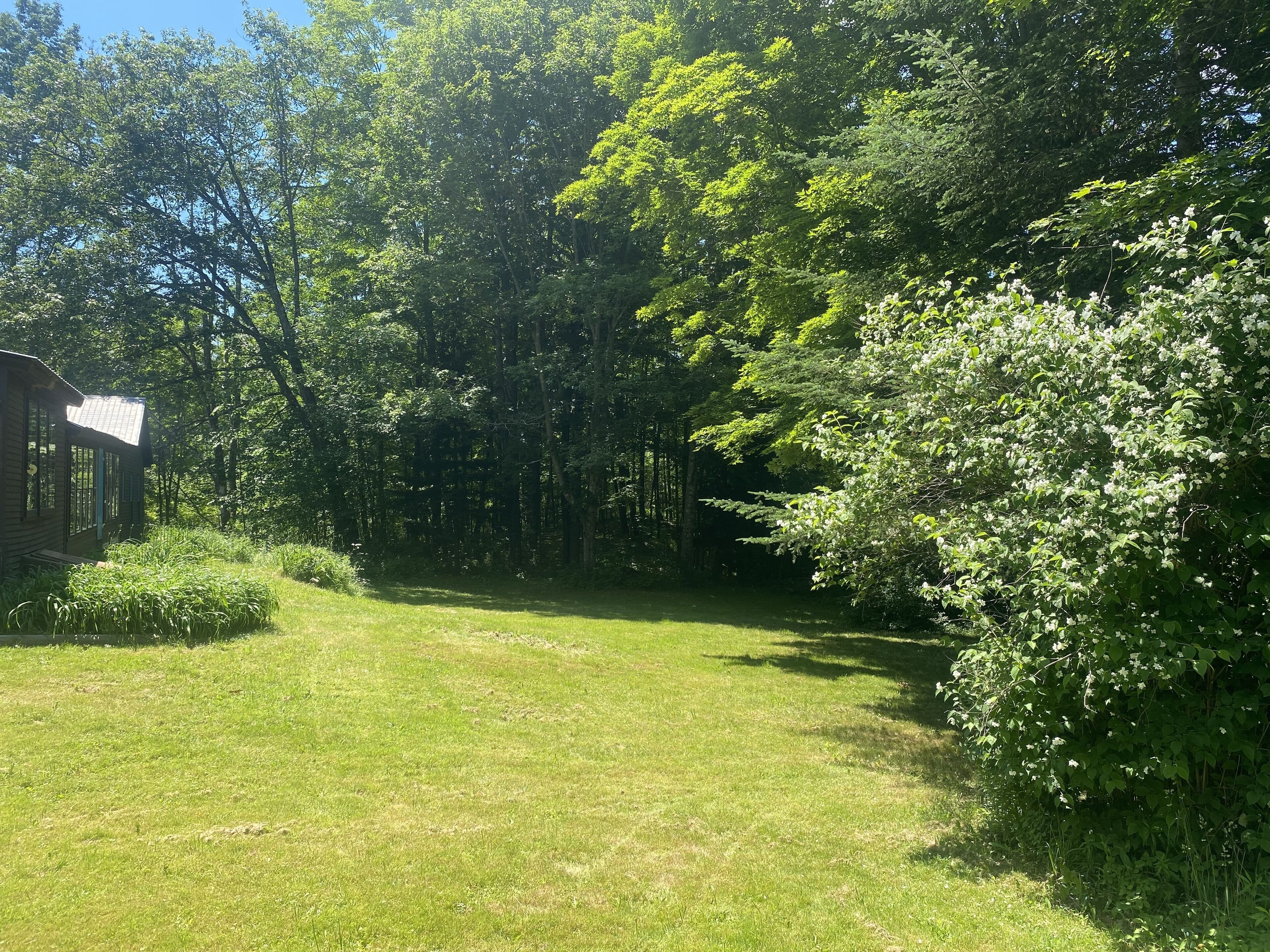 A grassy area with a wooden cabin and dense trees.