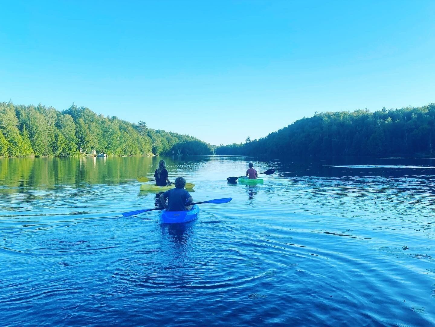 Une rivière paisible, avec des kayaks et une rive bordée d’arbres.