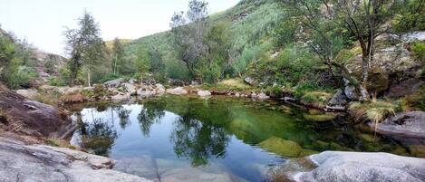A natural landscape with a clear water body surrounded by rocks and greenery.