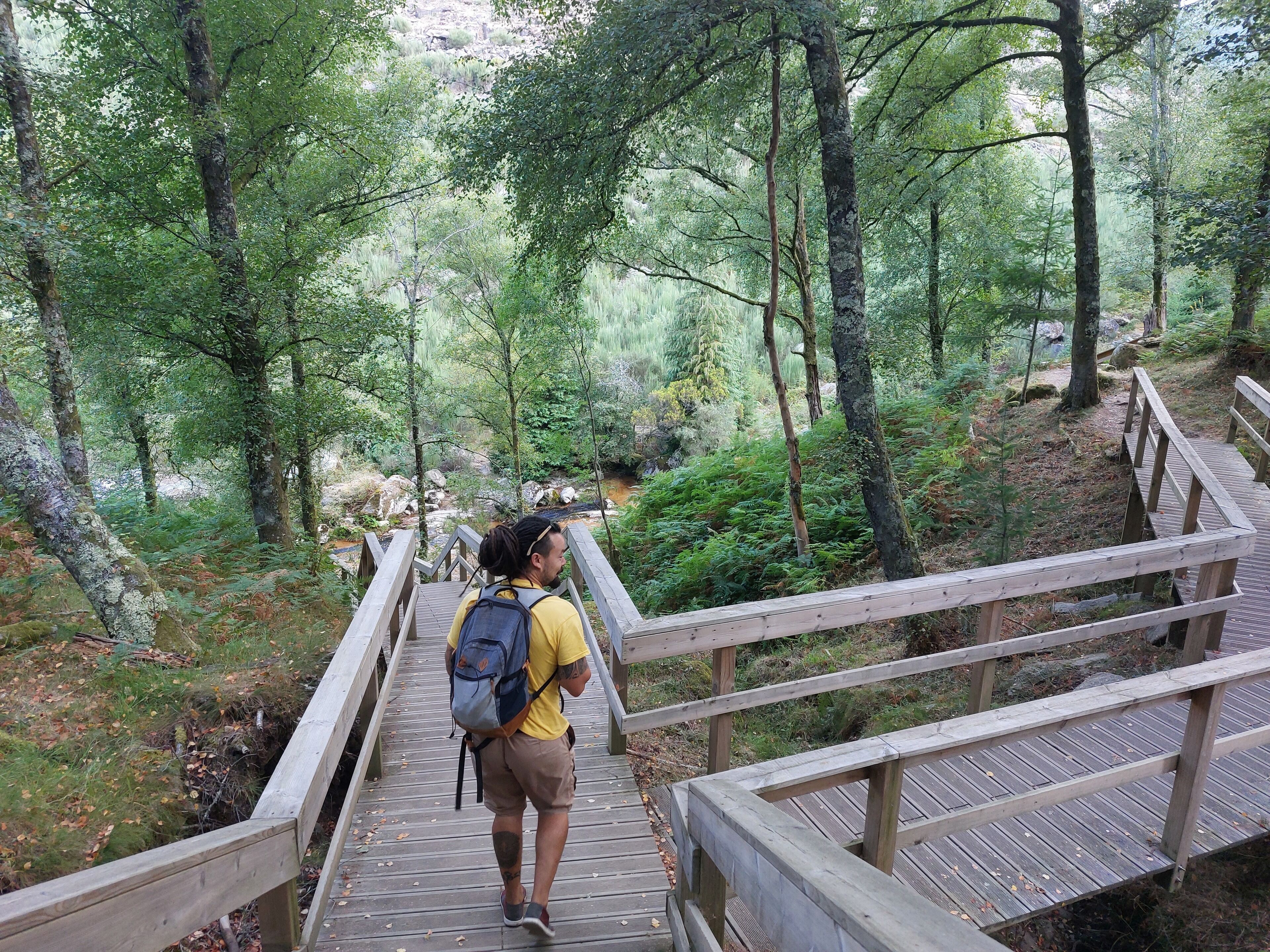 A wooden bridge in a forested area with a person walking on it.