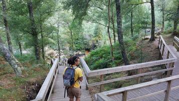 A wooden bridge in a forested area with a person walking on it.
