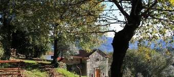 Quinta da Roda - Nature and Wellness