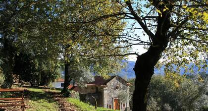 Quinta da Roda - Nature and Wellness