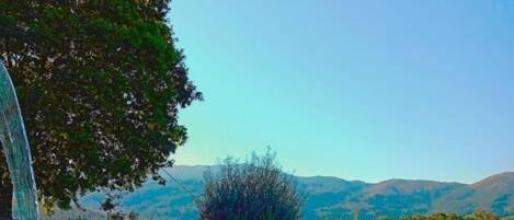 Piscine extérieure, parasols de plage, chaises longues