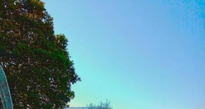 Quinta da Roda - Nature and Wellness