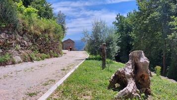 A rural road leading to a stone building with a red roof, surrounded by greenery and a clear sky.