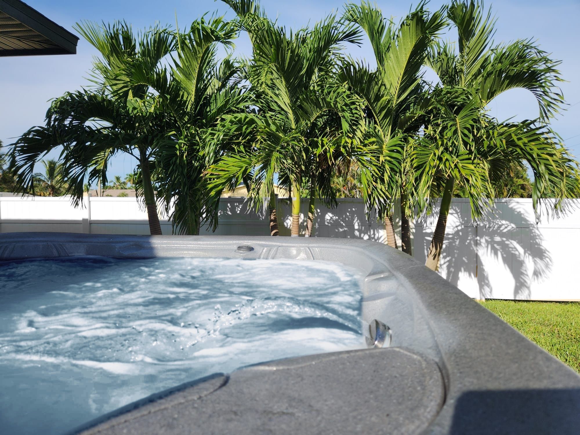 A hot tub surrounded by palm trees.