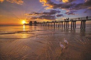 Una playa cerca