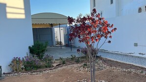 A courtyard with a tree, a small garden, and a building in the background. - Villa (Gouvernement Medenine)