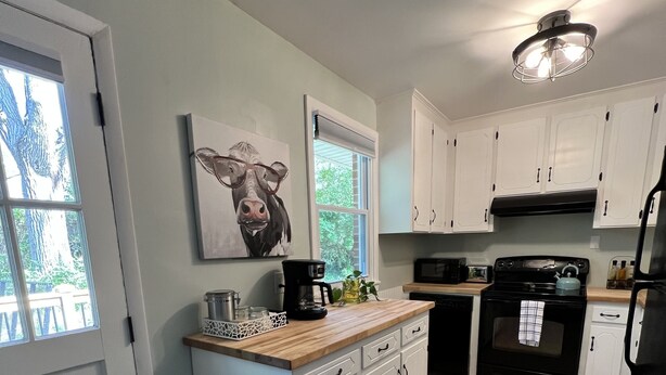 A kitchen with white cabinets, a black stove, and a window with a view of greenery. - 3 BR renovated home, near downtown Raleigh, privacy fenced backyard! (Raleigh)