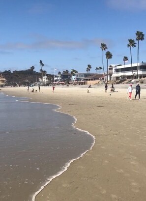 Plage à proximité