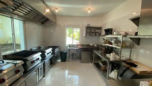 Cozinha moderna com eletrodomésticos de aço inoxidável, uma janela grande e vista para o verde lá fora.