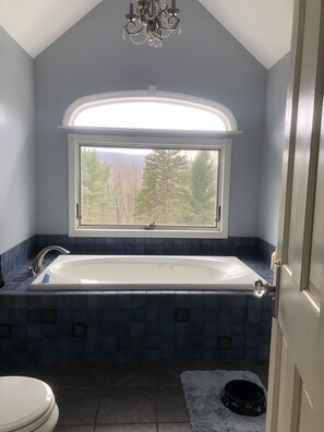 Bathtub, towels, soap, toilet paper - Family and dog friendly Catskills (Prattsville)