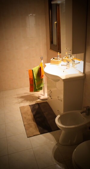 Dusche, Haartrockner, Bidet, Handtücher