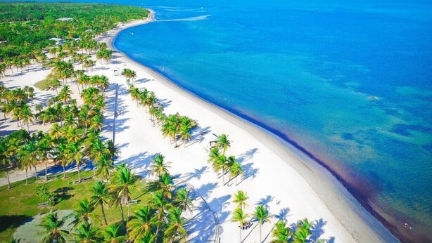 Vista aérea de una playa con palmeras y el perfil de una ciudad al fondo.