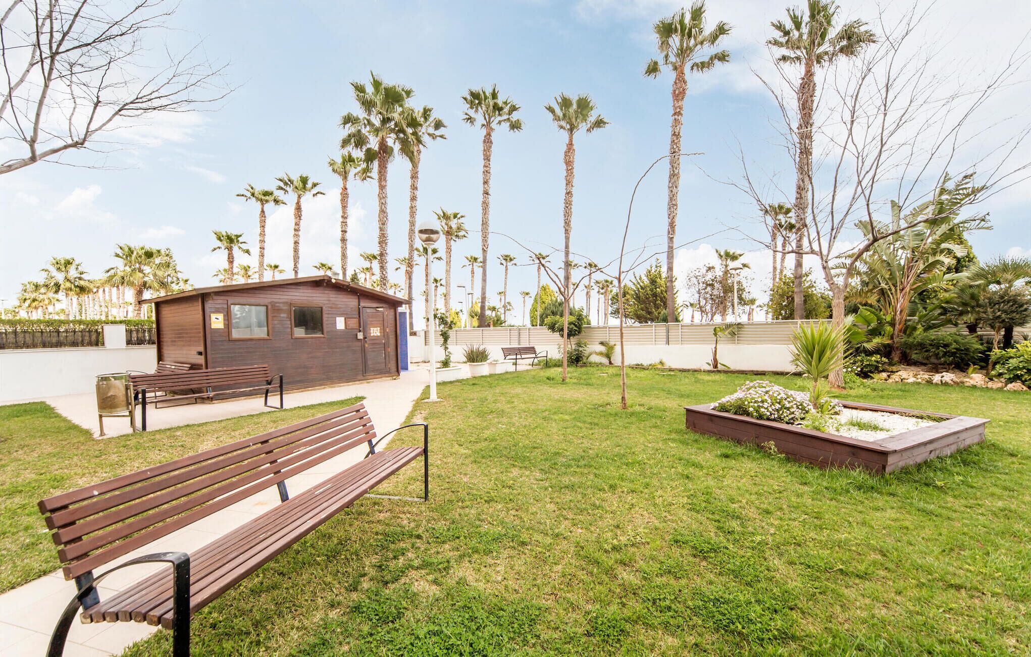 A park with a wooden bench, a small wooden structure, and tall palm trees.