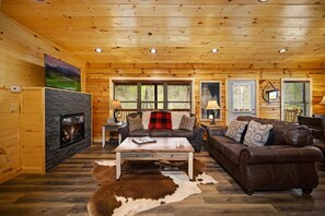 智能电视、壁炉、DVD 播放器