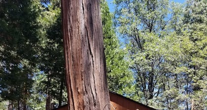 Maura's She Shed at the Trails End" private studio in the mountains.