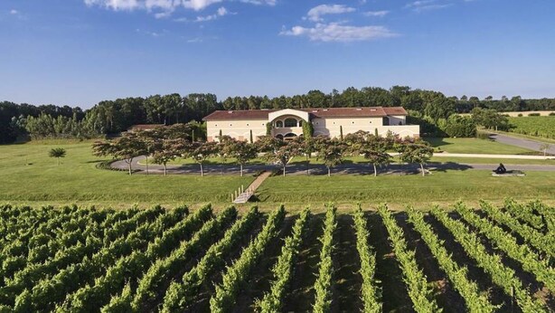 A vineyard with rows of grapevines and a building with a curved roof in the background.