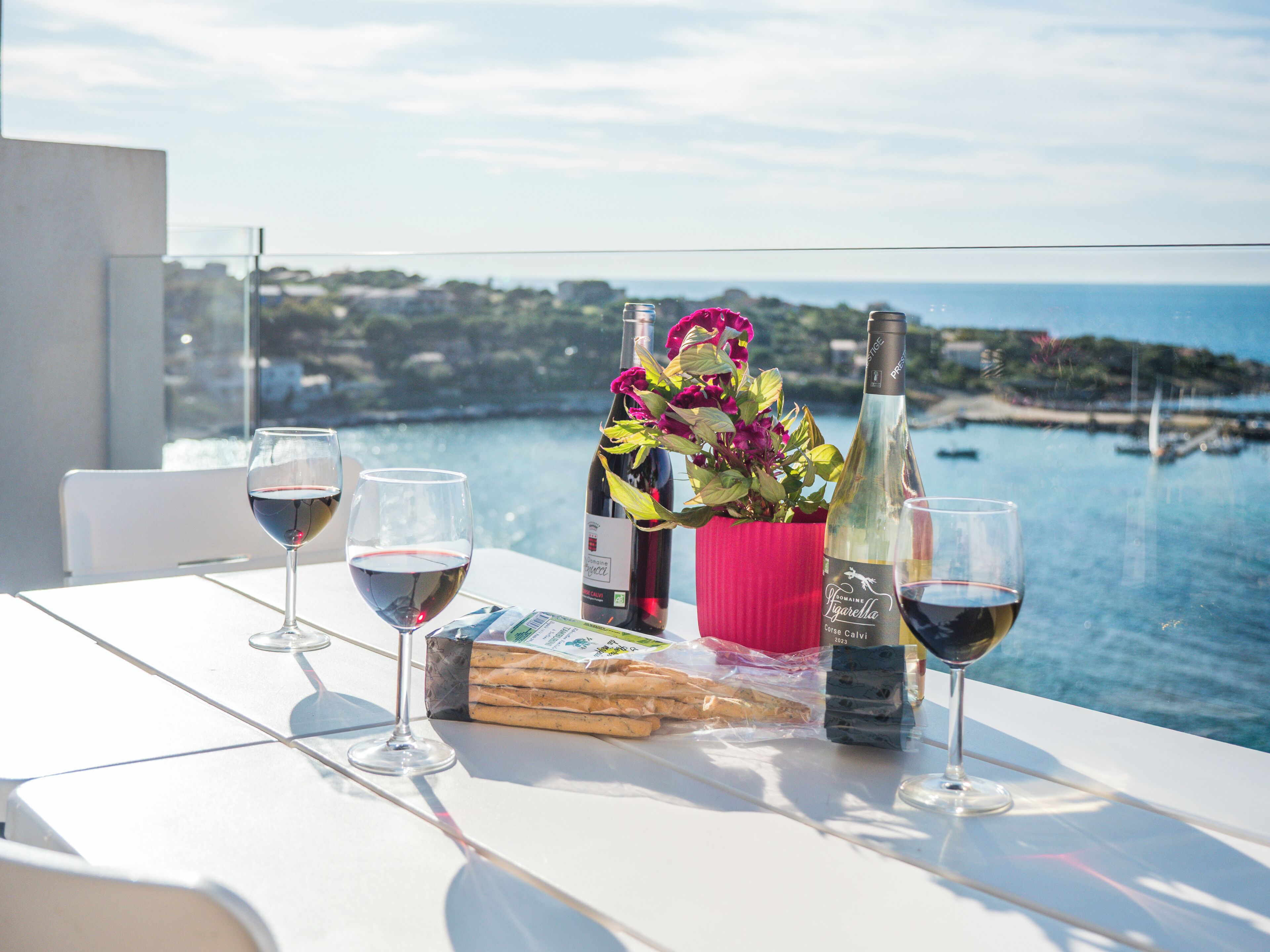 Appartement confortable et moderne climatisé, deux espaces nuit, terrasse vue magnifique sur mer | Pemandangan pantai/laut