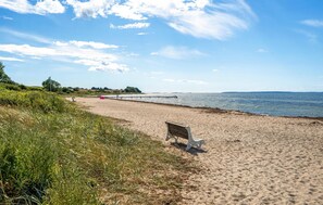 Vlak bij het strand, vissen