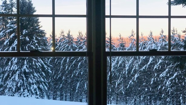 A window with a view of snow-covered trees and a clear sky.
