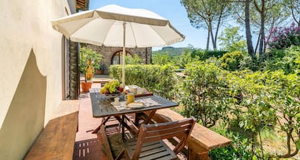 Nice apartment in Molino del Piano