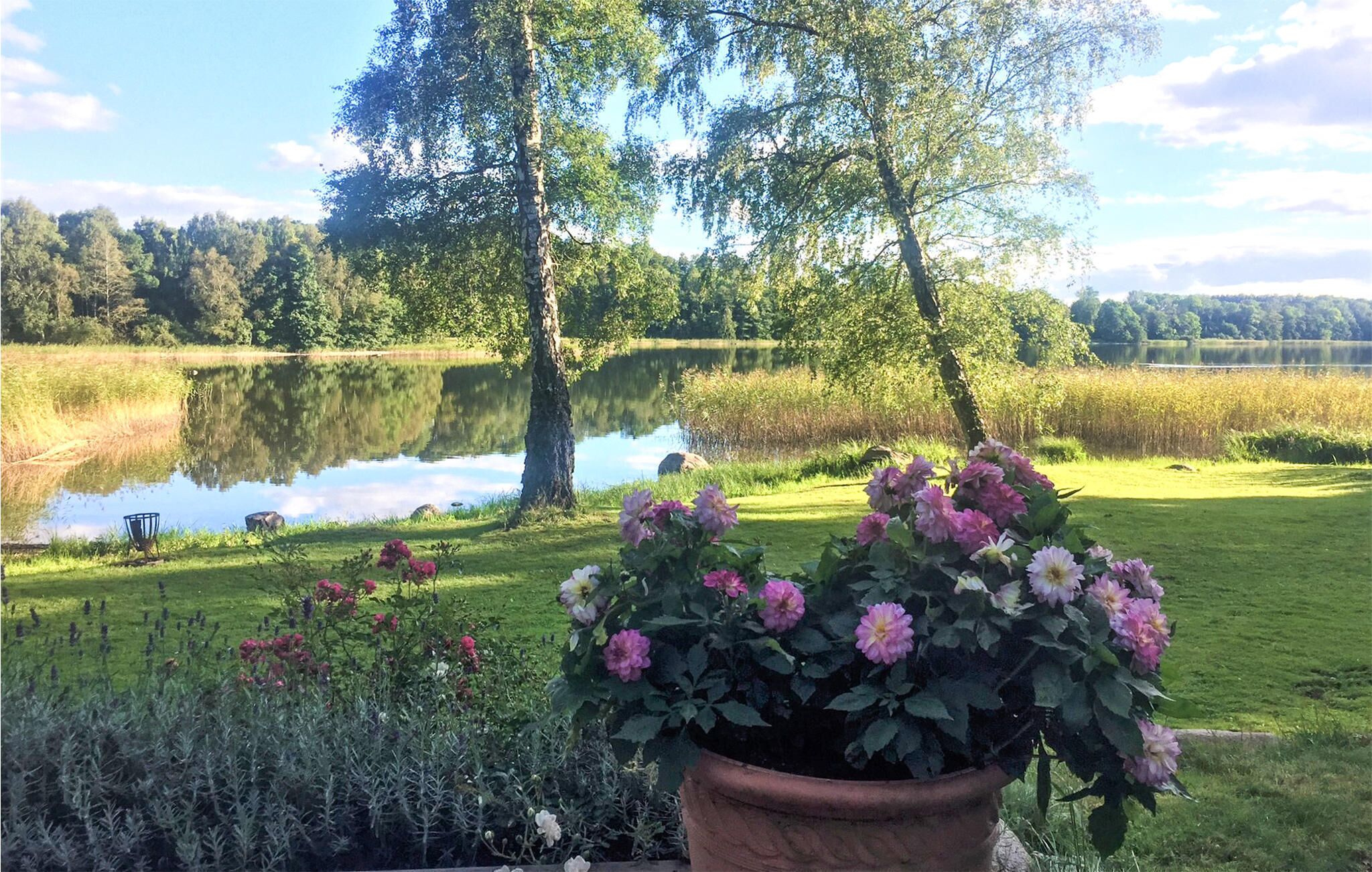 Boendeområde