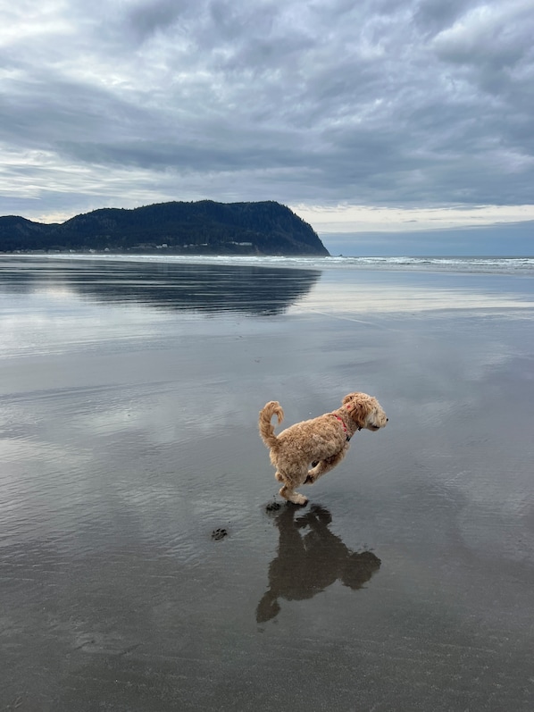 Beach nearby