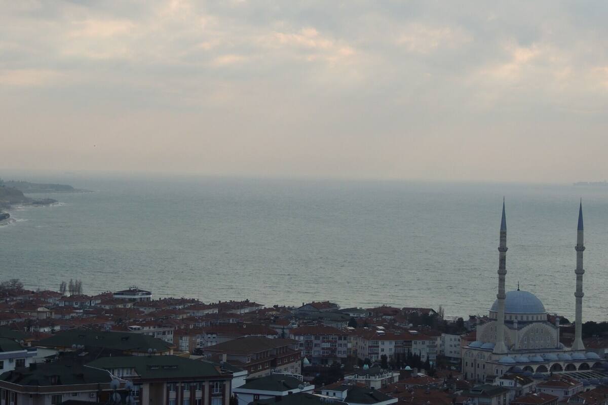 A coastal cityscape with a prominent mosque featuring two minarets and a dome, surrounded by residential buildings.