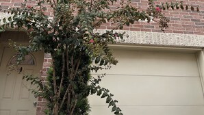 Un edificio de ladrillo de varios pisos con una puerta de garaje, ventanas con persianas y un árbol en primer plano.
