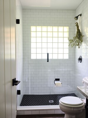 Shower, hair dryer, towels, soap