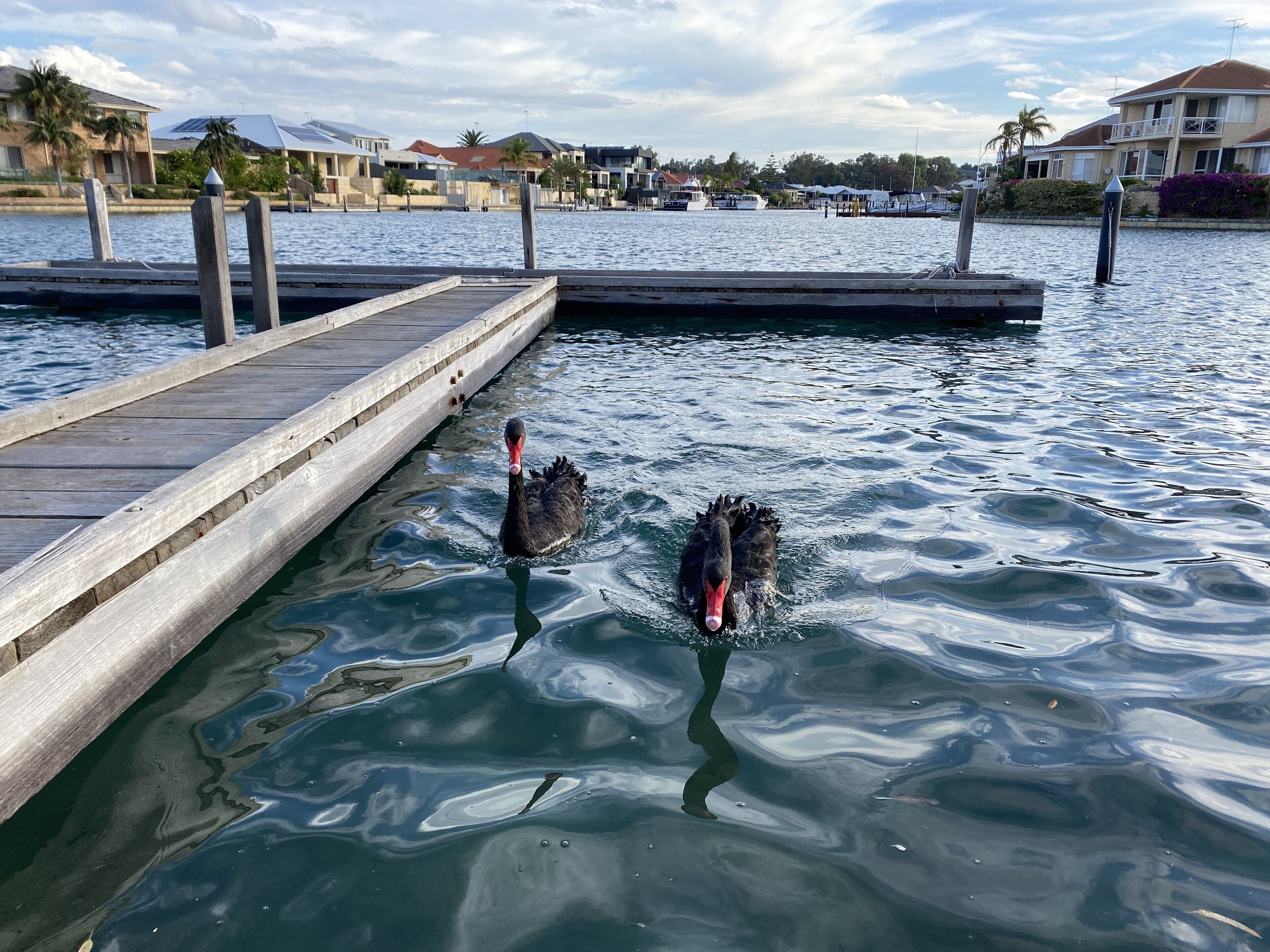 Mandurah Canal Front Luxury Living — image 8