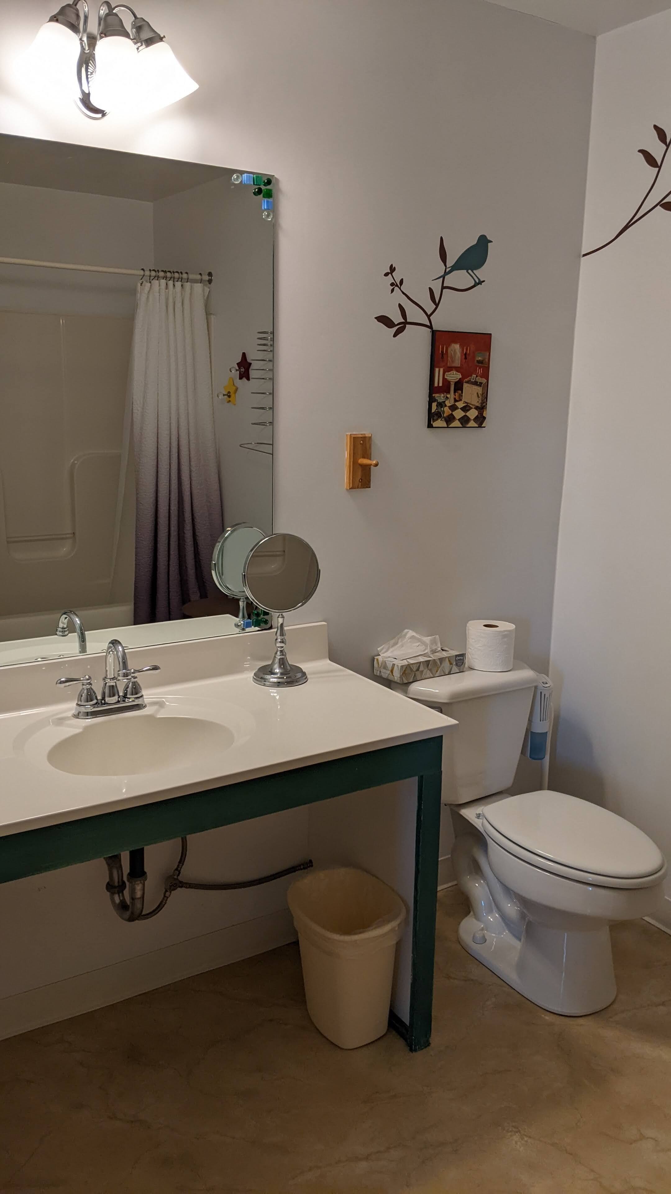 A bathroom with a double sink, a toilet, a mirror, and a shower curtain.