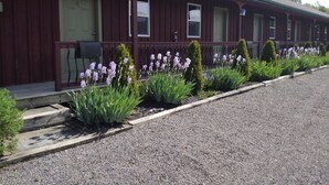 Una hilera de habitaciones de motel con un camino de grava y macizos de flores.