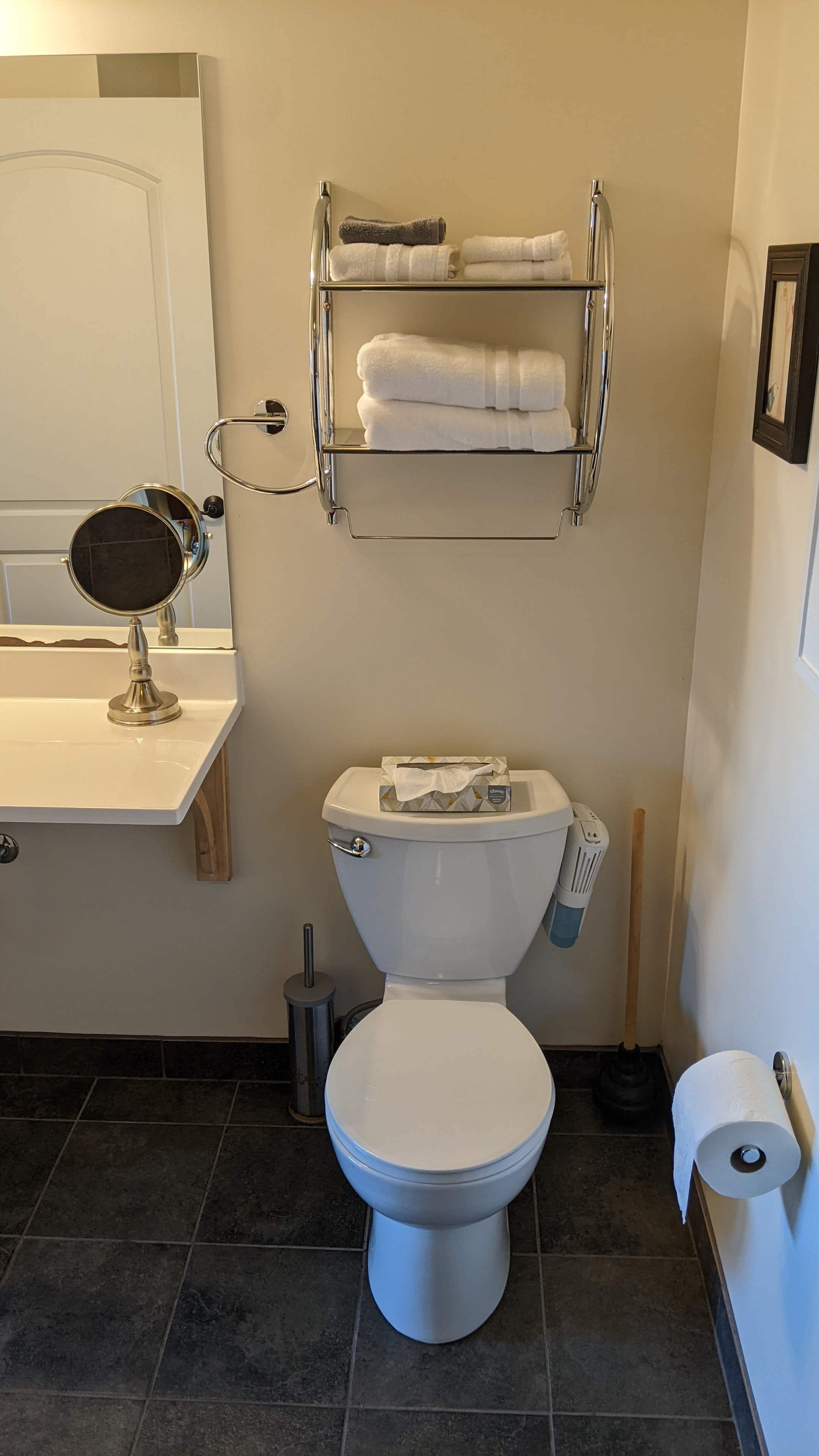 A bathroom with a toilet, a sink with a mirror, a towel rack with towels, and a toilet paper holder.