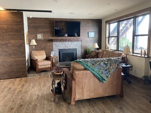 Smart TV, chimenea, reproductor de DVD y libros