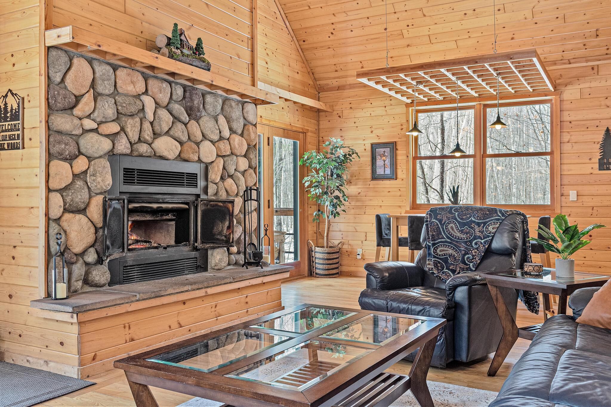 Smart TV, fireplace, DVD player, video library