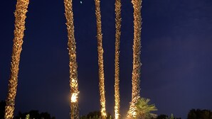 A swimming pool with tall palm trees illuminated by lights, surrounded by greenery. - ★Golf & Couples Oasis★ Midcentury w/6 Pools, Hot Tub (Palm Springs)
