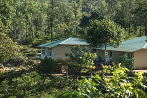 Building design - Mistly Plantation Bungalow (Valparai)