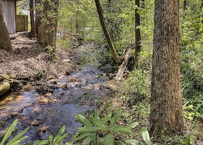 Hiking