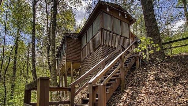 Une tour d’observation en bois, accessible par un escalier, et entourée d’arbres.