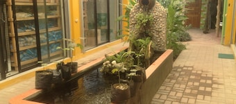 Comfortable apartment in the city centre