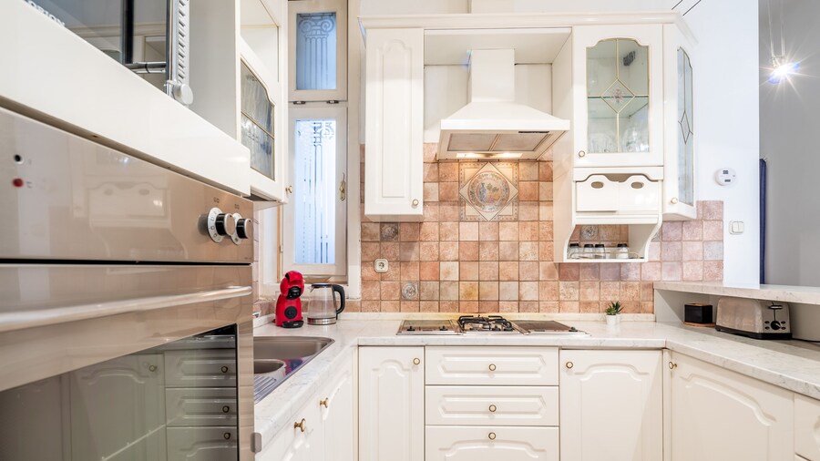 Huge Apartment in the city center