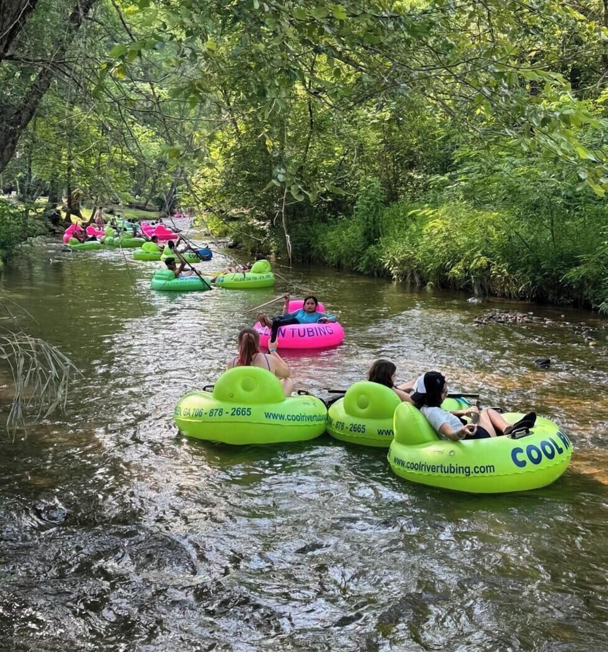 オーナーのプロフィール画像